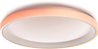 Aqara Ceiling Light T1M CL-L02D